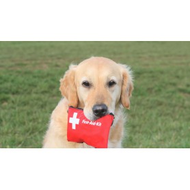 First aid canine herbal kit