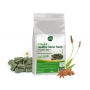 Healthy horse treats Anise