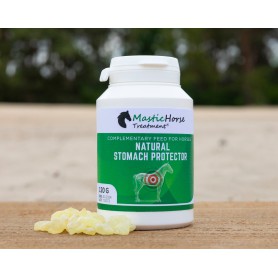Mastic Horse treatment ( supports the stomach and intestines )