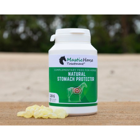 Mastic Horse treatment ( Stomach protector )