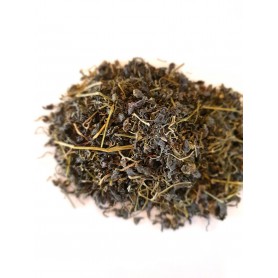 Jiaogulan herb