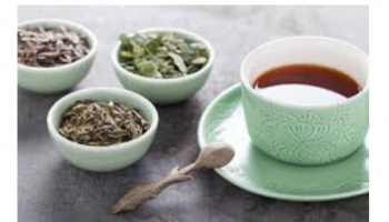 Tea better than fresh or dried herbs?